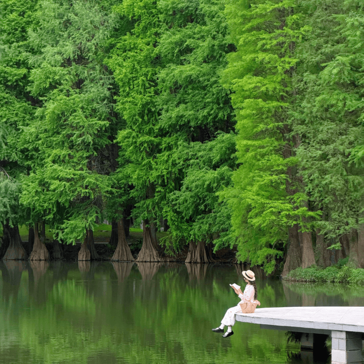 RUYI Jewelry Wood element inspiration, woman reading by a green lakeside symbolizing growth and renewal